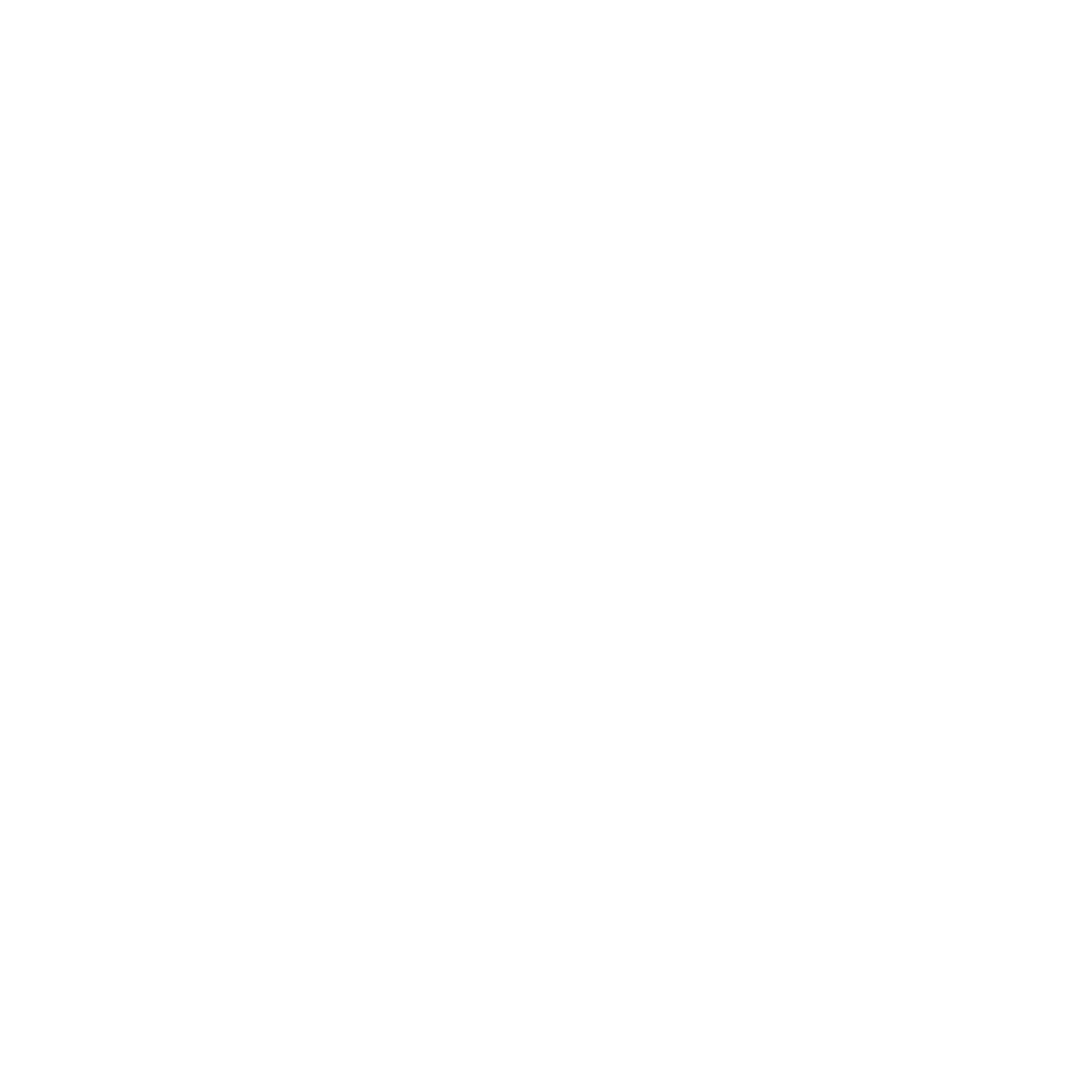 DSEG Consultoria