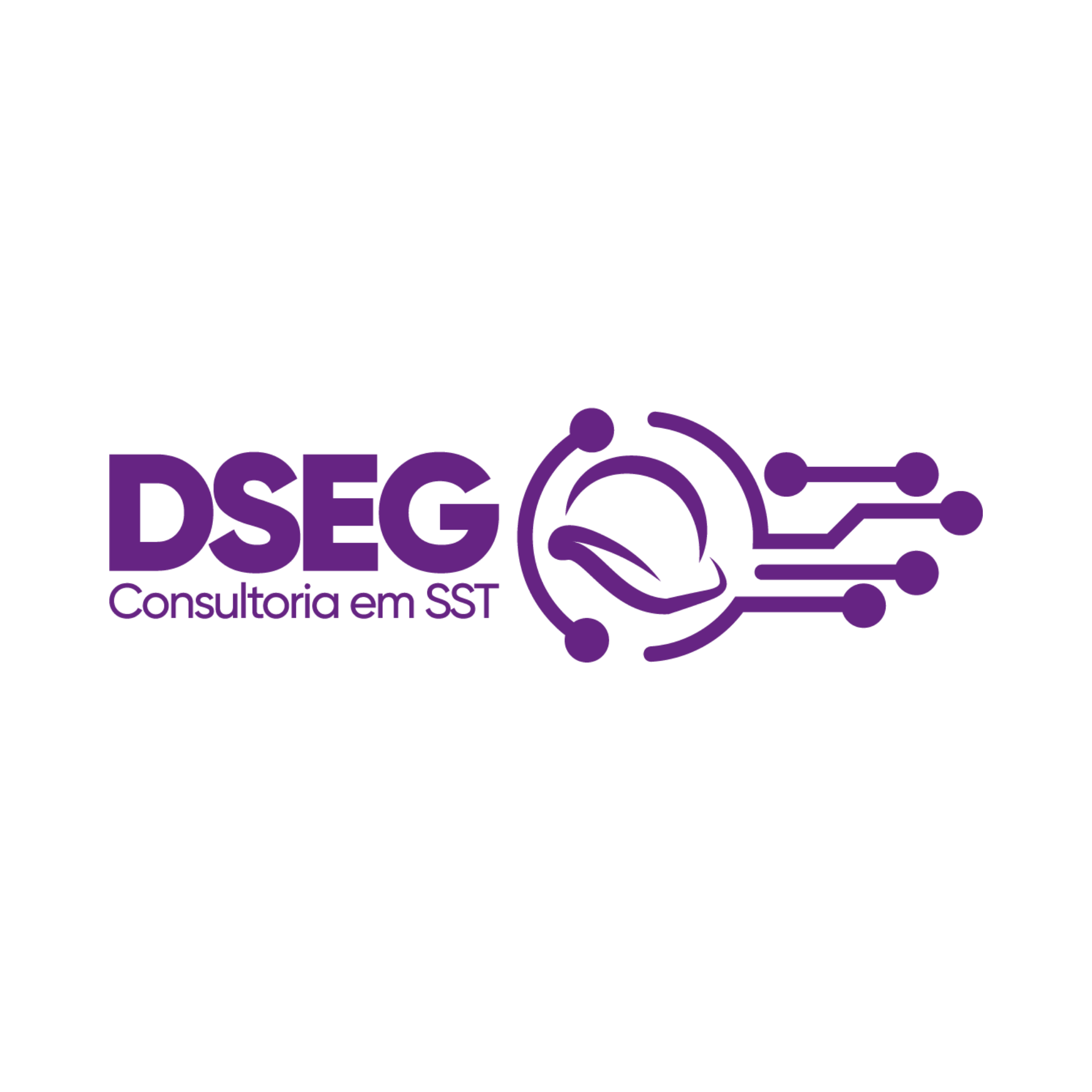 DSEG Consultoria